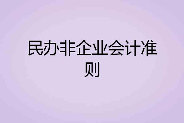民办非企业会计准则