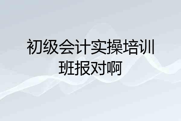 初级会计实操培训班报对啊