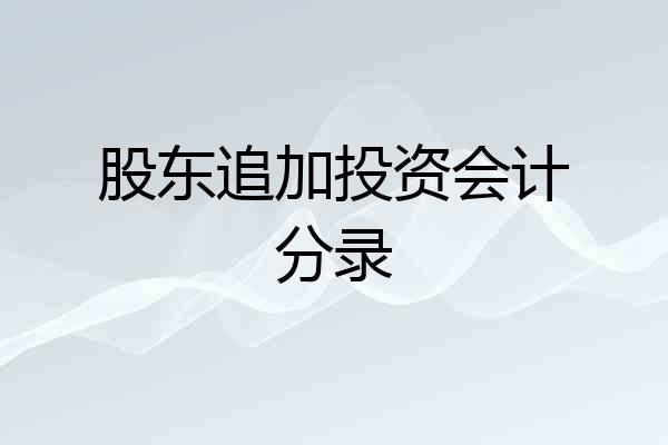 股东追加投资会计分录