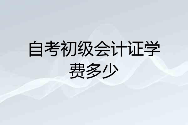 自考初级会计证学费多少