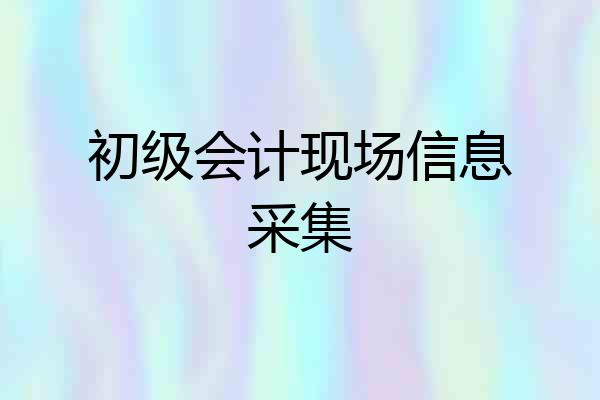 初级会计现场信息采集