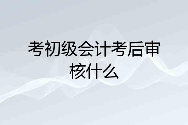 考初级会计考后审核什么