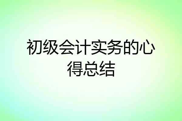 初级会计实务的心得总结