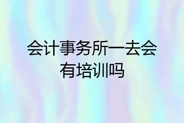 会计事务所一去会有培训吗