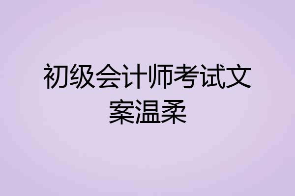 初级会计师考试文案温柔