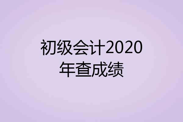 初级会计2020年查成绩