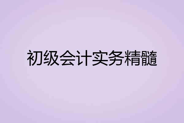 初级会计实务精髓