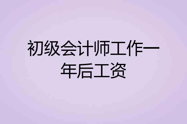 初级会计师工作一年后工资