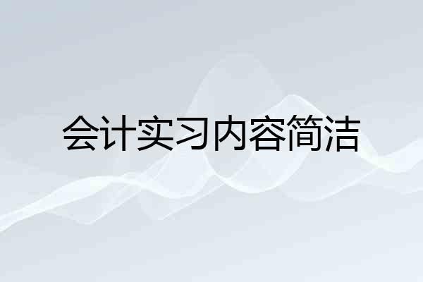 会计实习内容简洁