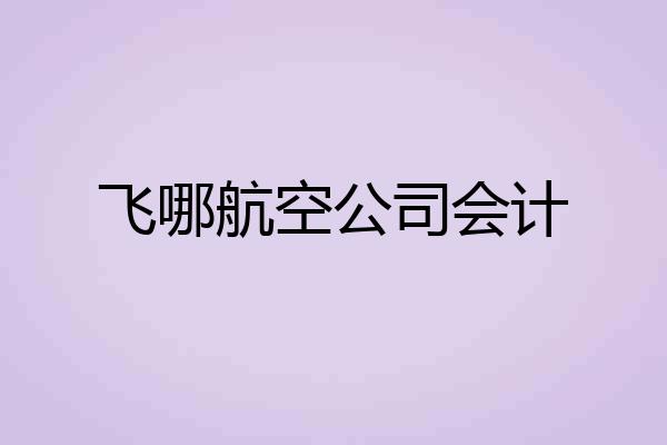 飞哪航空公司会计