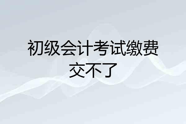 初级会计考试缴费交不了