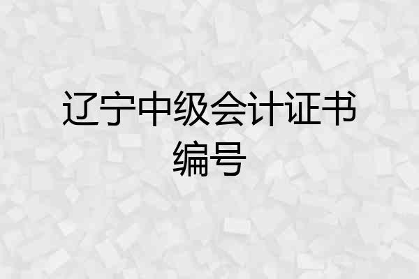 辽宁中级会计证书编号