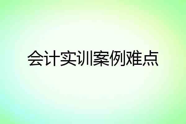 会计实训案例难点