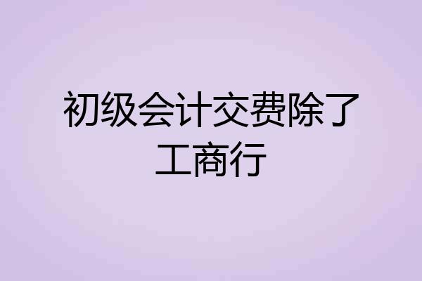 初级会计交费除了工商行