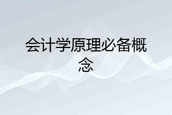 会计学原理必备概念
