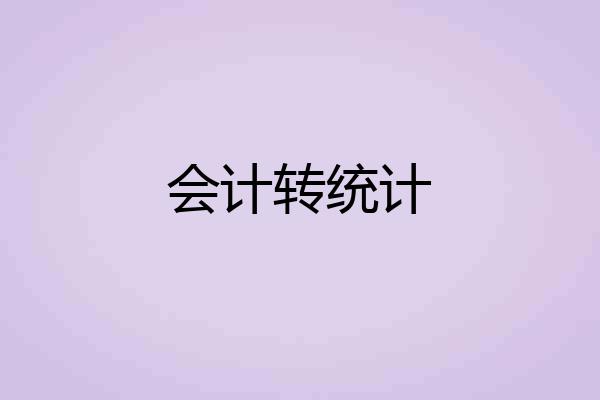会计转统计