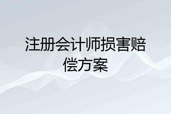 注册会计师损害赔偿方案