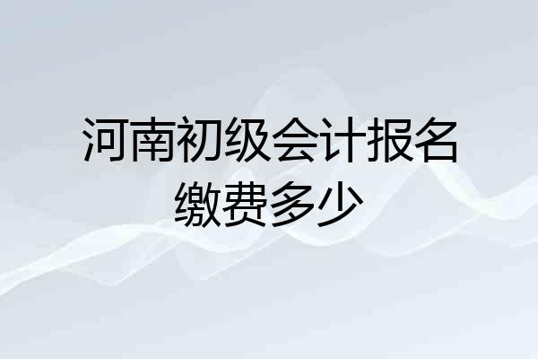 河南初级会计报名缴费多少