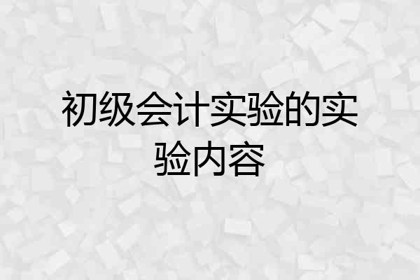 初级会计实验的实验内容