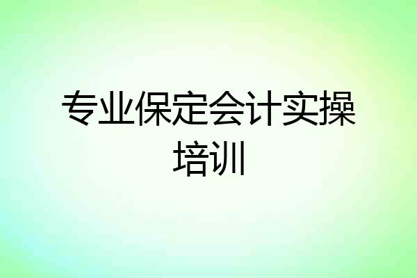 专业保定会计实操培训