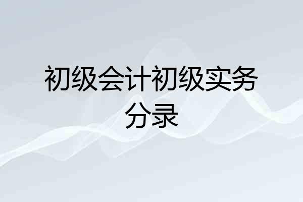 初级会计初级实务分录
