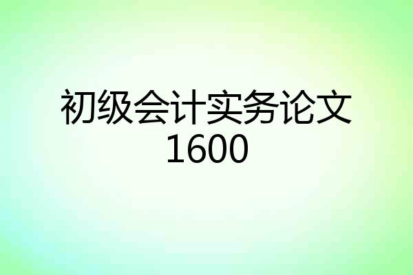 初级会计实务论文1600