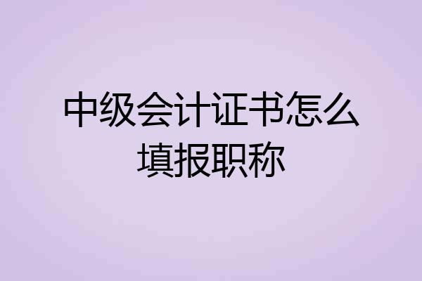 中级会计证书怎么填报职称