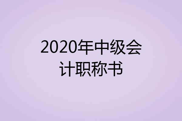 2020年中级会计职称书