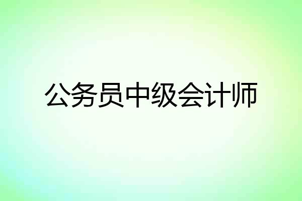 公务员中级会计师