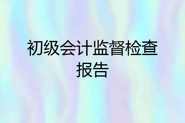 初级会计监督检查报告