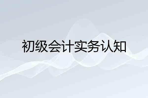 初级会计实务认知