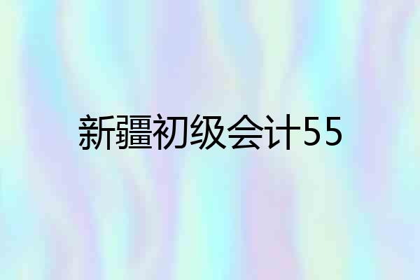 新疆初级会计55