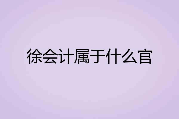 徐会计属于什么官
