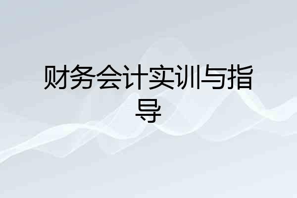 财务会计实训与指导