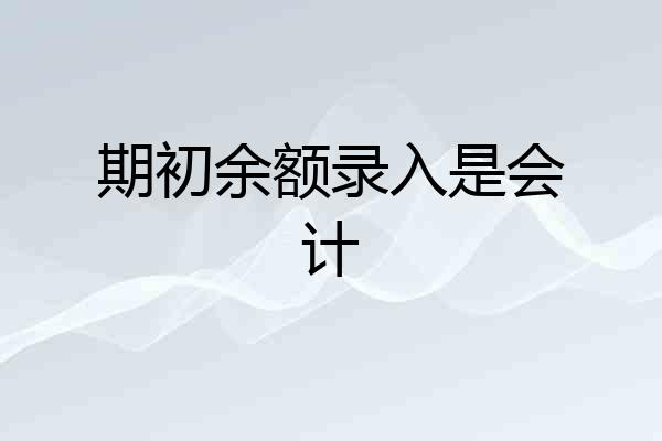 期初余额录入是会计