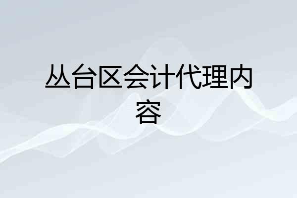 丛台区会计代理内容