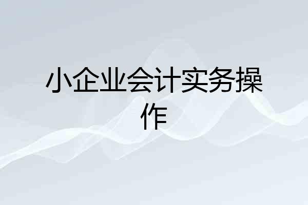 小企业会计实务操作
