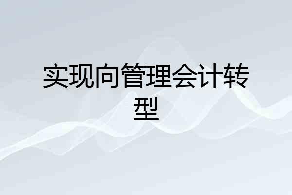 实现向管理会计转型