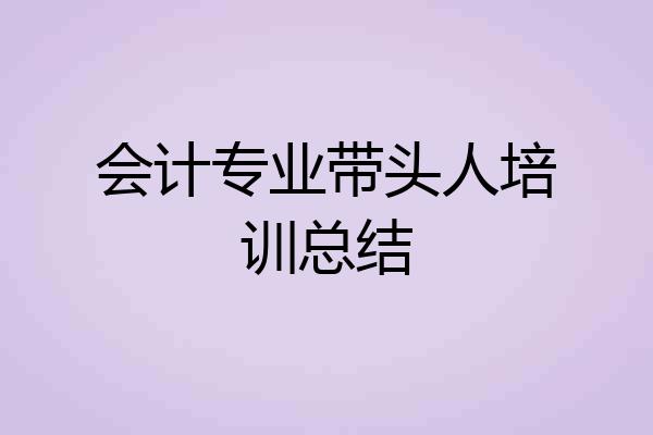 会计专业带头人培训总结