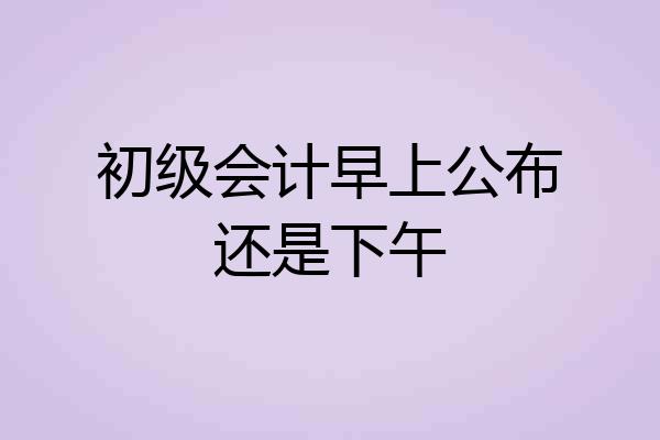 初级会计早上公布还是下午