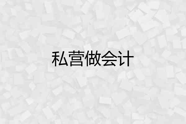 私营做会计