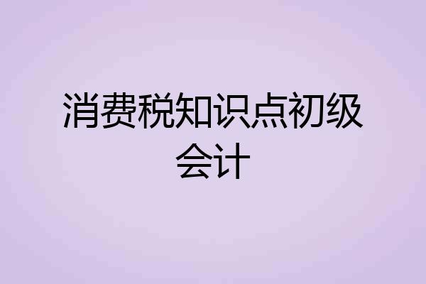 消费税知识点初级会计