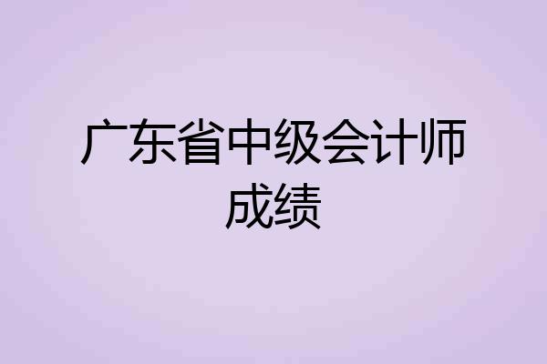 广东省中级会计师成绩