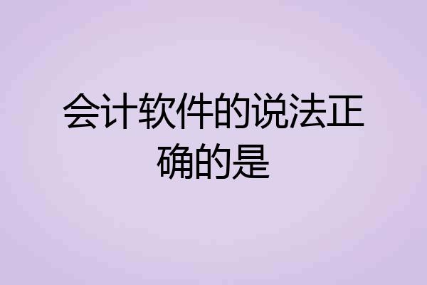 会计软件的说法正确的是