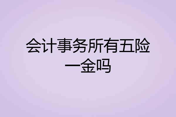 会计事务所有五险一金吗