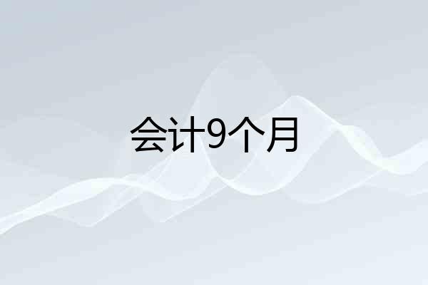 会计9个月