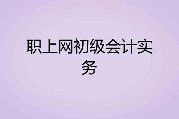 职上网初级会计实务
