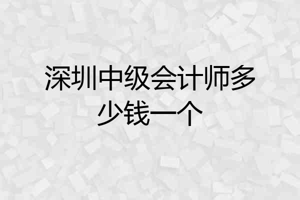 深圳中级会计师多少钱一个