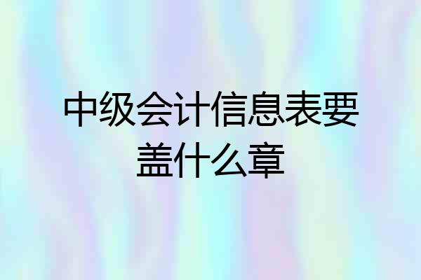 中级会计信息表要盖什么章