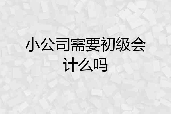 小公司需要初级会计么吗